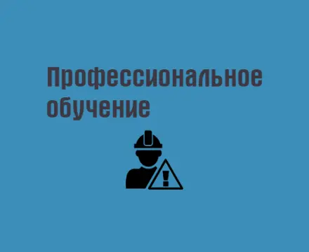 Профессиональное обучение